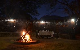 Moholoholo Forest Camp